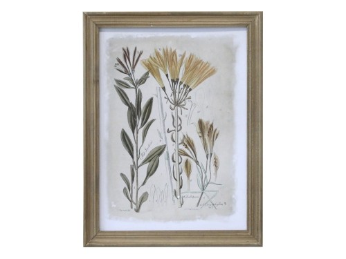 OBRAZ ZIELNIK Z OPISAMI CHIC ANTIQUE 43 CM - NATURALNY NR.3