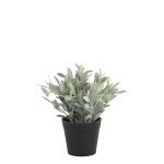 Sztuczna szałwia doniczkowa Fleur Chic Antique 18×8 cm – zielona dekoracja