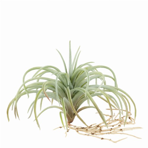 SUKULENT LENE BJERRE DESIGN 15  CM - SZTUCZNY KWIAT