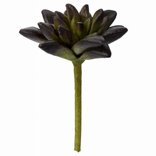 SUKULENT LENE BJERRE 11  CM / SZTUCZNY KWIAT FLORA