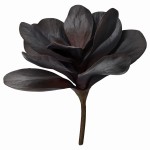 SUKULENT LENE BJERRE 26 CM / SZTUCZNY KWIAT - BORDOWY